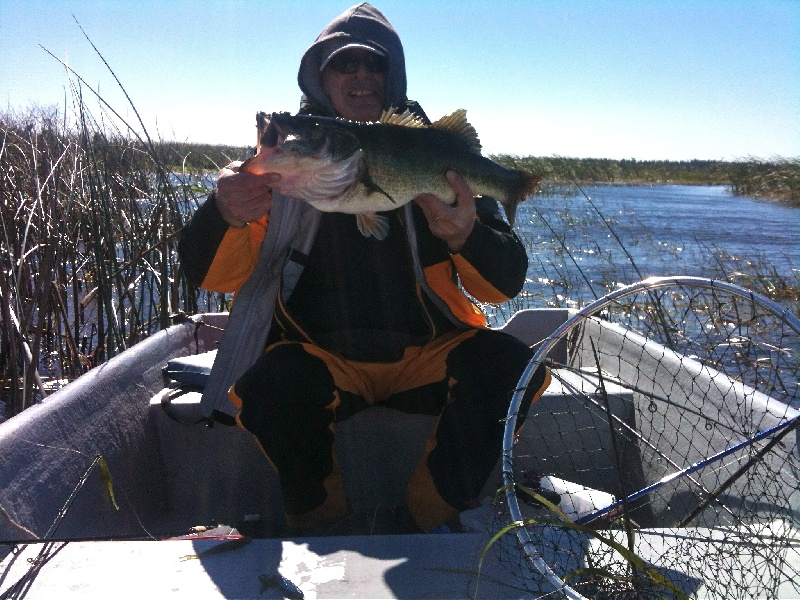 Fatty in Florida