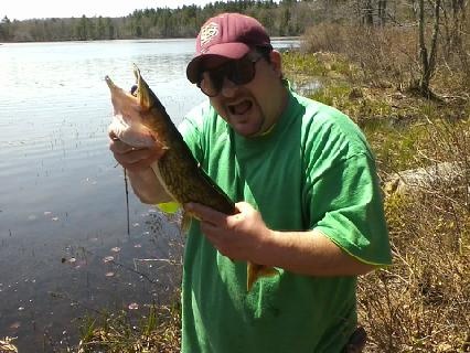 Nice Pickerel