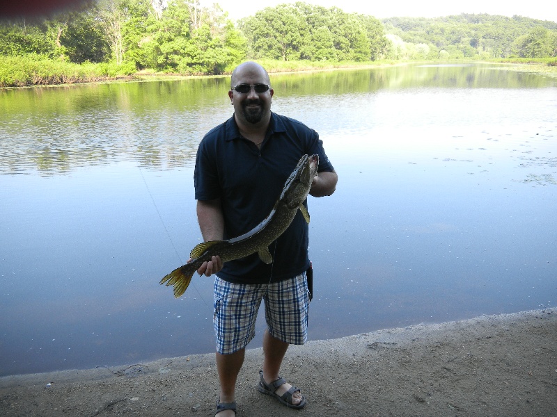 Northern Pike