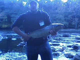 SHETUCKET RIVER SALMON DAY 2 !!!!